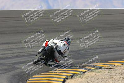 media/Jan-20-2023-Apex Assassins (Fri) [[05880b9d29]]/Trackday 1/Session 2 (Bowl Backside)/